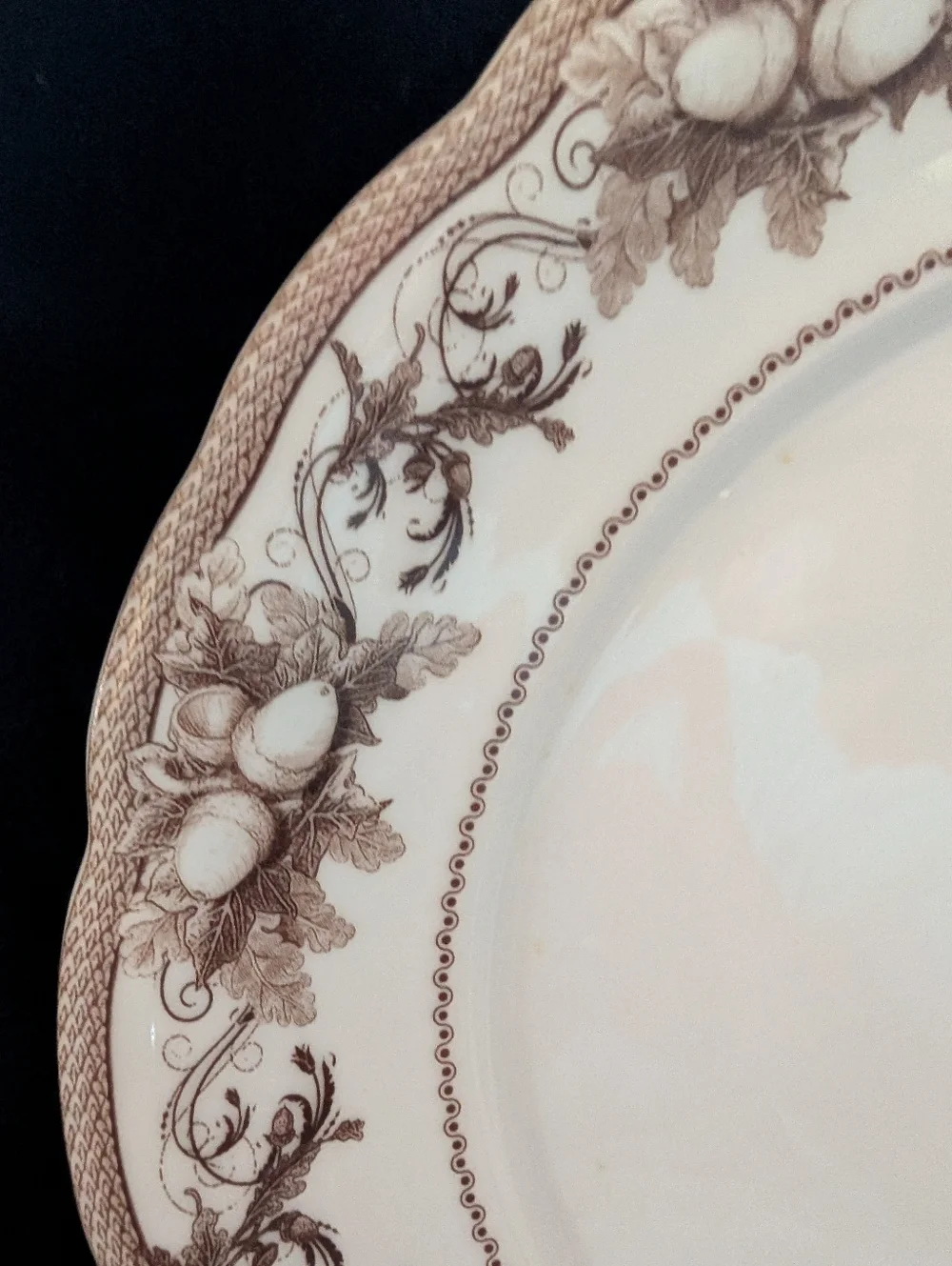 Williams Sonoma Cream Dinner Plates with Brown Floral Border